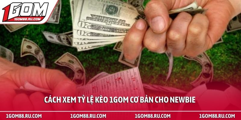 Cách xem tỷ lệ kèo 1Gom - Hướng dẫn đọc bảng cược bóng đá 3 Cách xem tỷ lệ kèo 1Gom cơ bản cho newbie