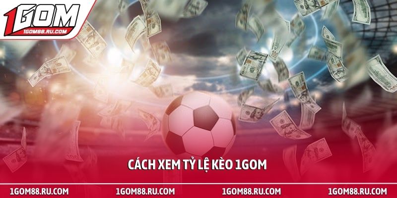 Cách xem tỷ lệ kèo 1Gom - Hướng dẫn đọc bảng cược bóng đá 1 Cách xem tỷ lệ kèo 1Gom