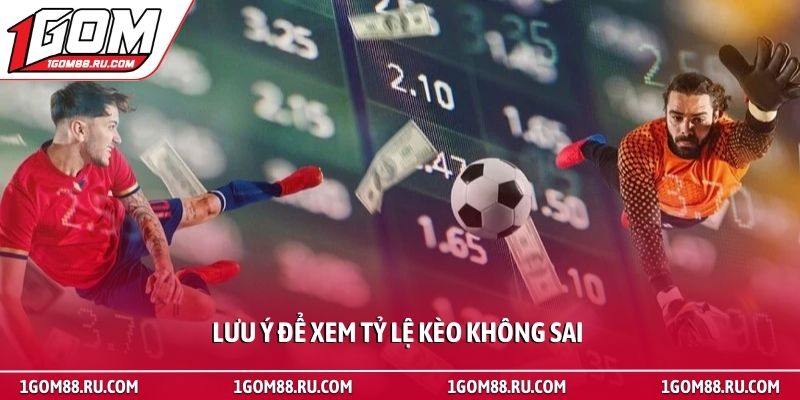 Cách xem tỷ lệ kèo 1Gom - Hướng dẫn đọc bảng cược bóng đá 4 Lưu ý để xem tỷ lệ kèo không sai