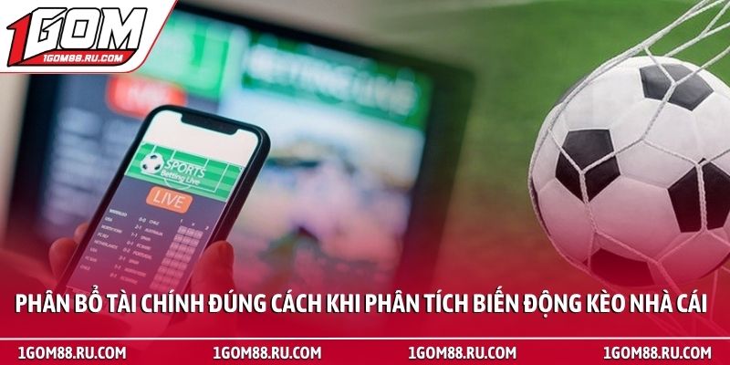 Phân tích biến động kèo nhà cái - Kỹ thuật soi tỷ lệ cược 4 Phân bổ tài chính đúng cách khi phân tích biến động kèo nhà cái